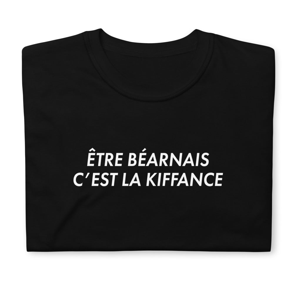 T-shirt Béarn gris foncé chiné dos - Être Béarnais c'est la kiffance