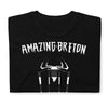 T-shirt Bretagne noir - Super-héros avec humour local
