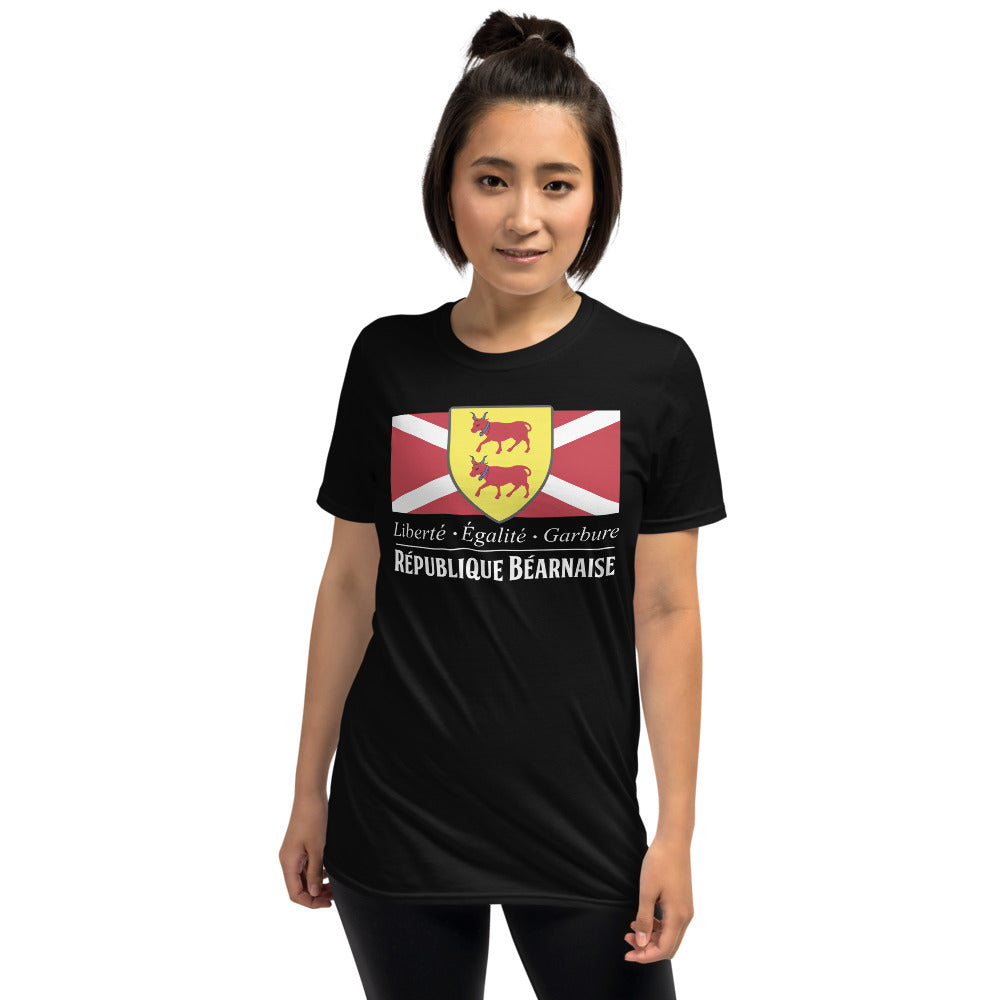 T-shirt Béarn gris sport - Liberté, égalité, garbure humoristique