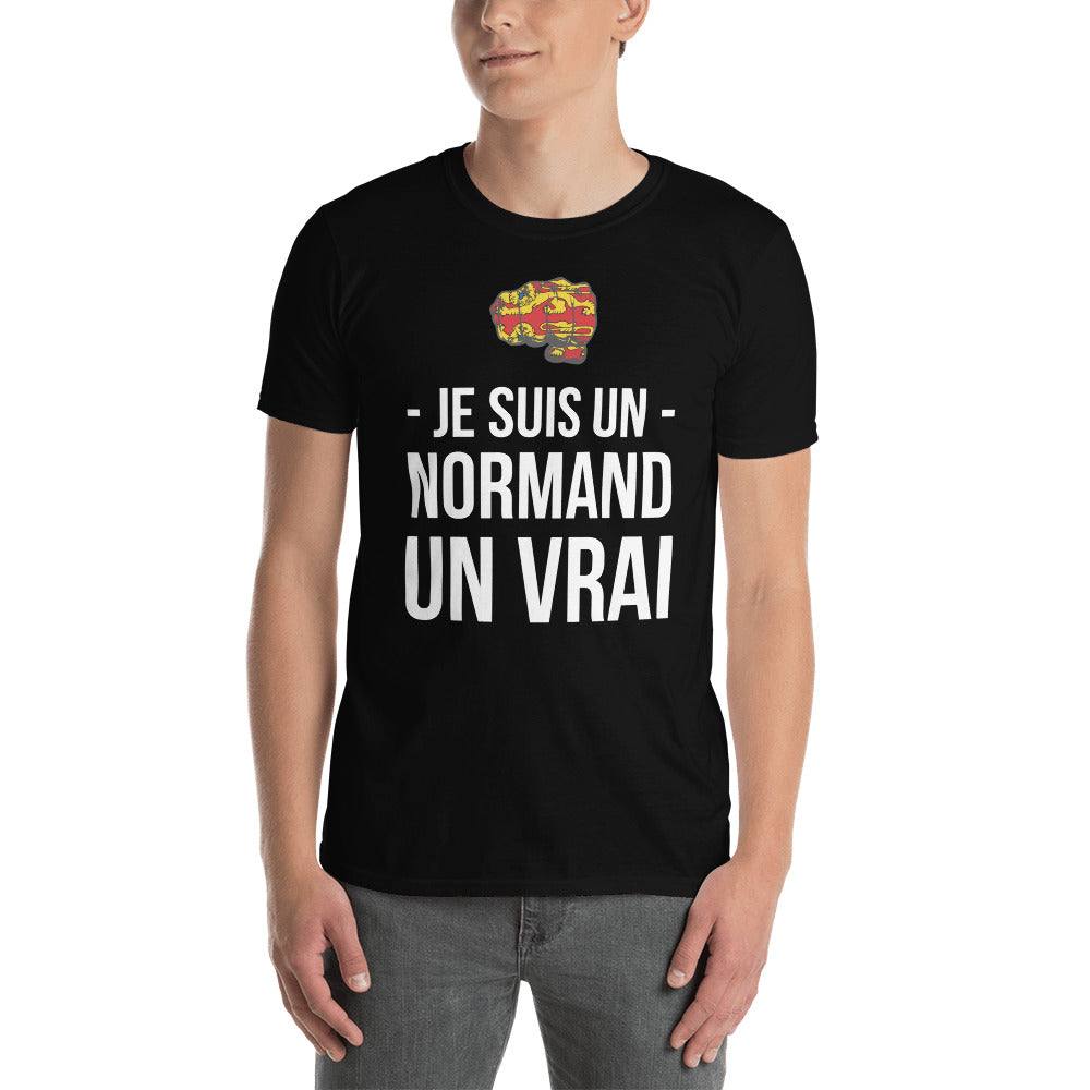 T-shirt Normand noir dos - Je suis un Normand un Vrai