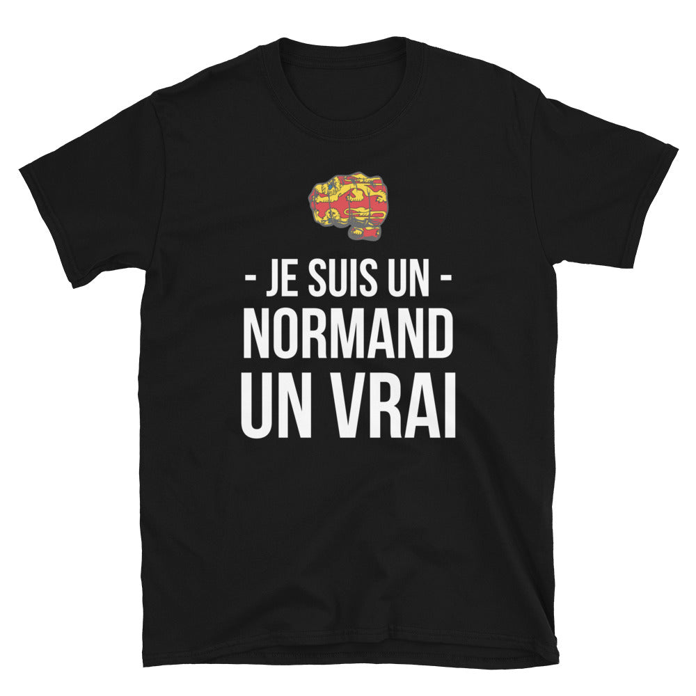 T-shirt Normand gris foncé chiné - Je suis un Normand un Vrai