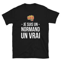 Thumbnail for T-shirt Normand gris foncé chiné - Je suis un Normand un Vrai