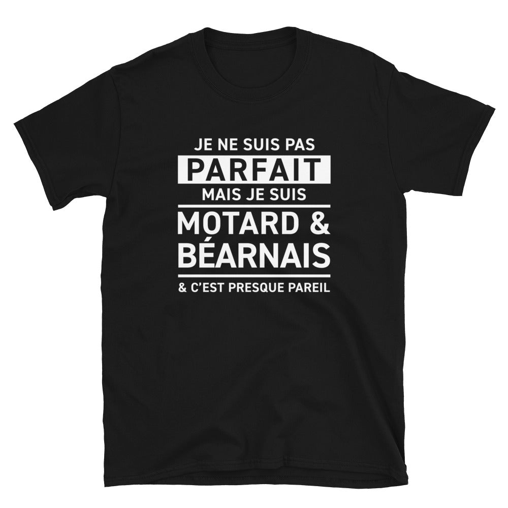 T-shirt Béarn gris foncé chiné - Pas parfait mais motard