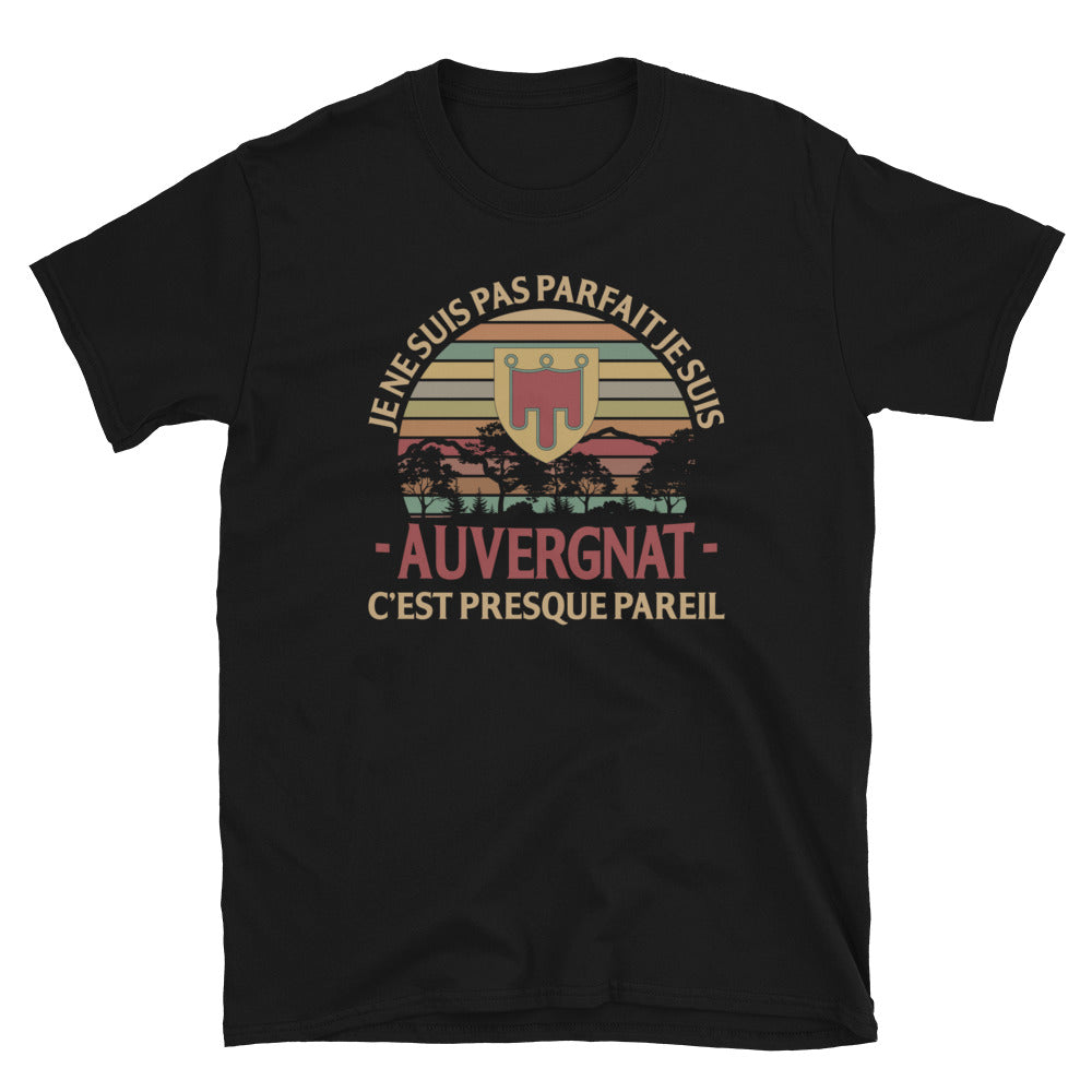 T-shirt Auvergne gris foncé chiné - Je ne suis pas parfait, presque pareil