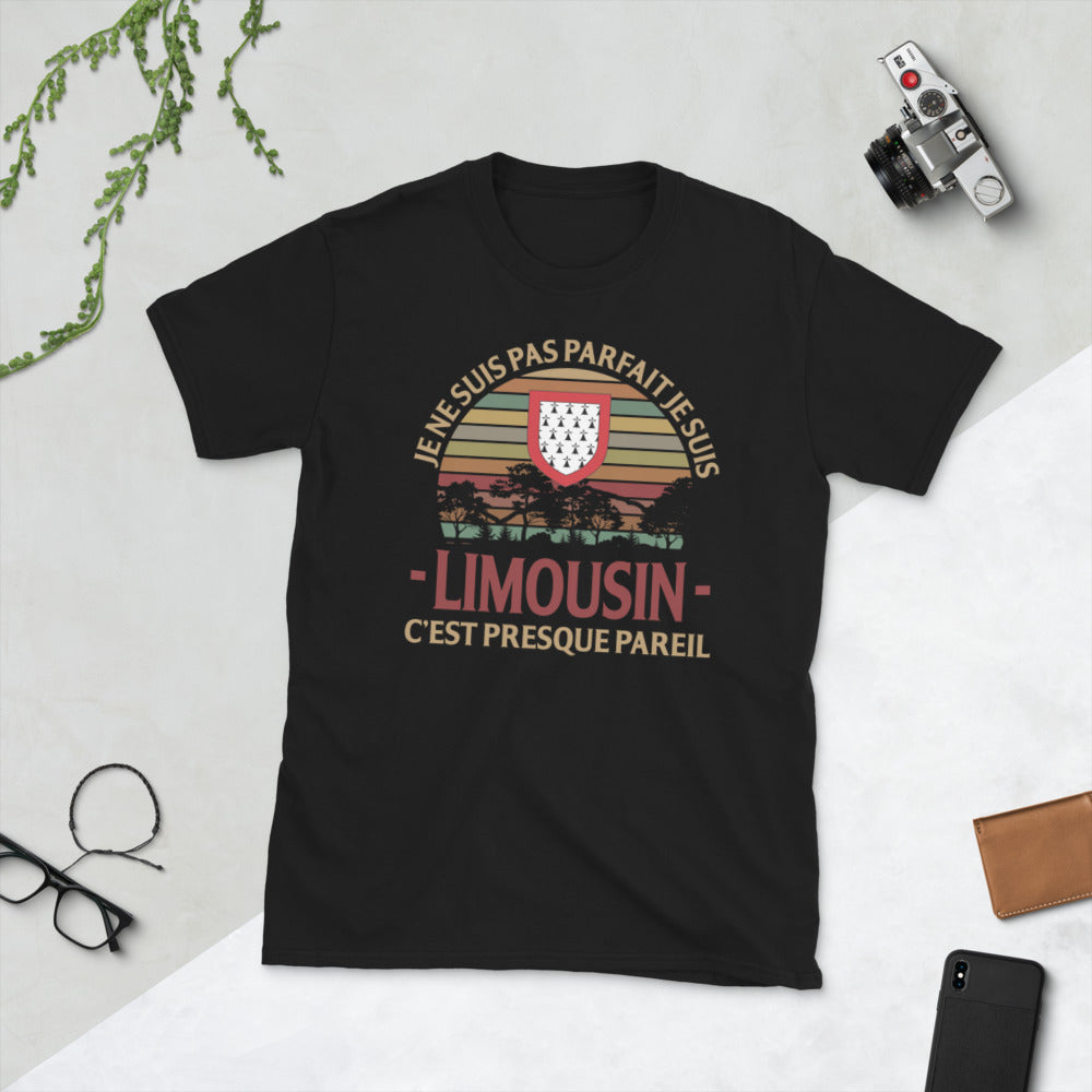 Je ne suis pas parfait je suis Limousin, c'est presque pareil - T-Shirt standard humour