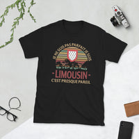 Thumbnail for Je ne suis pas parfait je suis Limousin, c'est presque pareil - T-Shirt standard humour