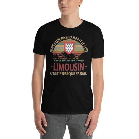 Je ne suis pas parfait je suis Limousin, c'est presque pareil - T-Shirt standard humour