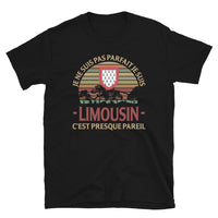 Thumbnail for Je ne suis pas parfait je suis Limousin, c'est presque pareil - T-Shirt standard humour