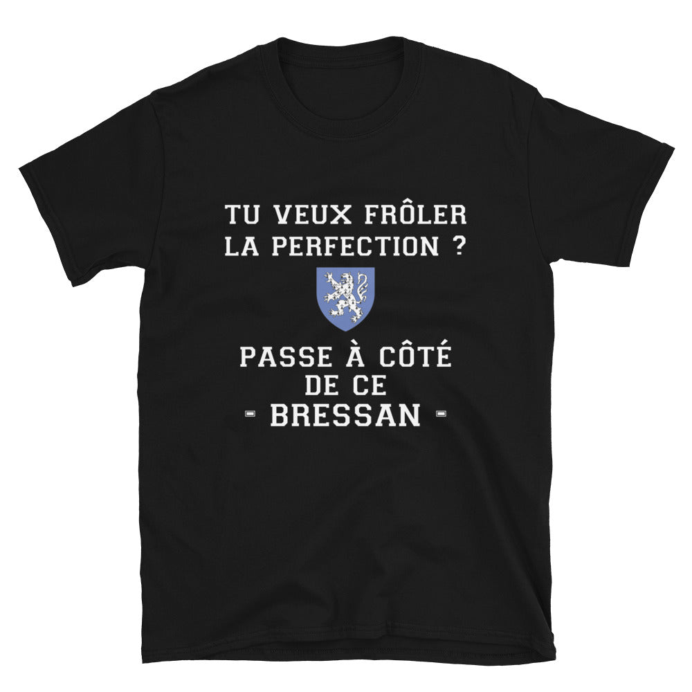 T-shirt Bresse bleu marine - Passe à côté de ce Bressan La perfection