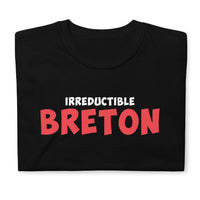 Thumbnail for T-shirt Bretagne noir - Irréductible Asterix