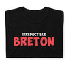T-shirt Bretagne noir - Irréductible Asterix