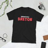 T-shirt Inspiré - Irréductible Breton Asterix