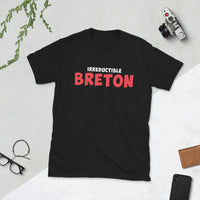 Thumbnail for T-shirt Bretagne gris foncé chiné - Irréductible Asterix
