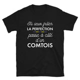 T-shirt cadeau Franc-Comtois - Tu veux frôler la perfection