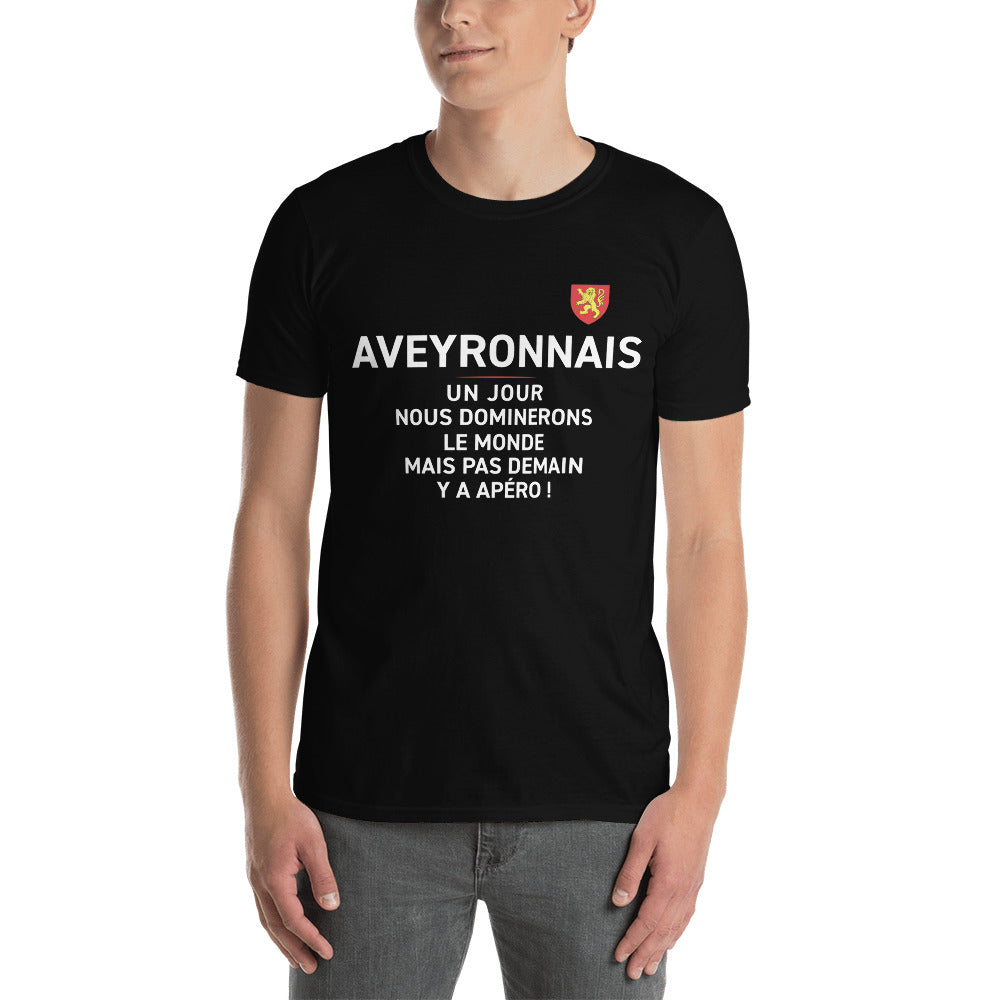 T-shirt Aveyron gris foncé chiné - Nous dominerons le monde