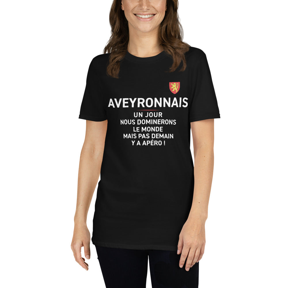 T-shirt Aveyron gris foncé chiné dos - Nous dominerons le monde