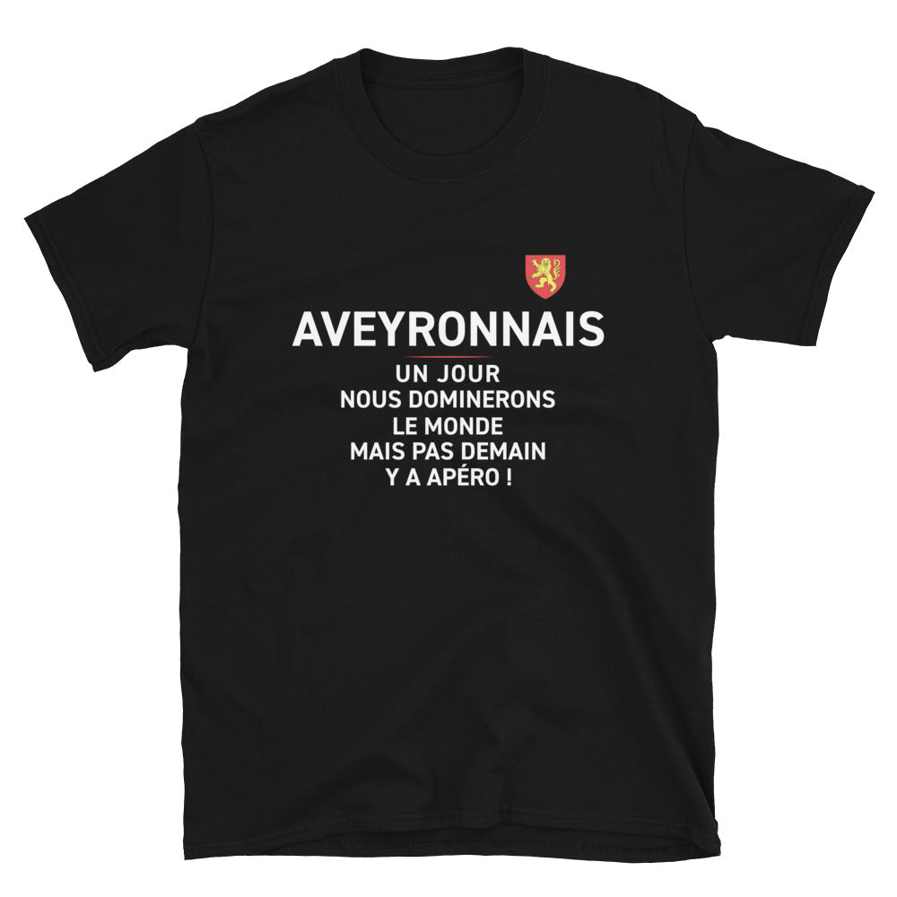 T-shirt Aveyron bleu marine - Nous dominerons le monde