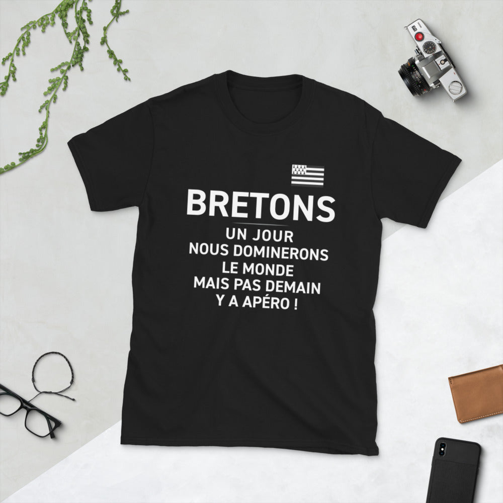 T-shirt Bretagne gris foncé chiné - Nous dominerons le monde