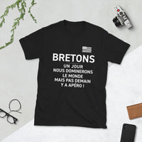 Thumbnail for T-shirt Bretagne gris foncé chiné - Nous dominerons le monde