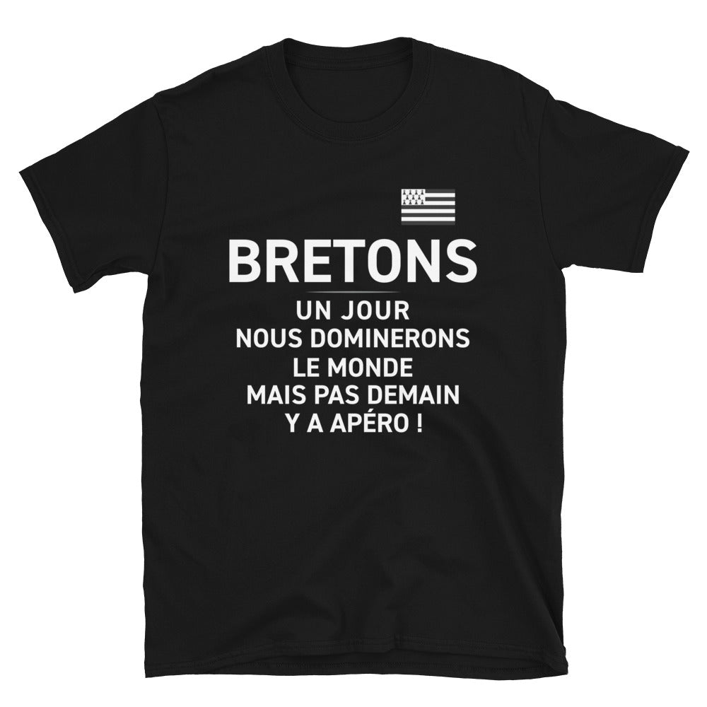 T-shirt Bretagne gris foncé chiné dos - Nous dominerons le monde