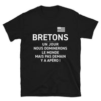 Thumbnail for T-shirt Bretagne gris foncé chiné dos - Nous dominerons le monde