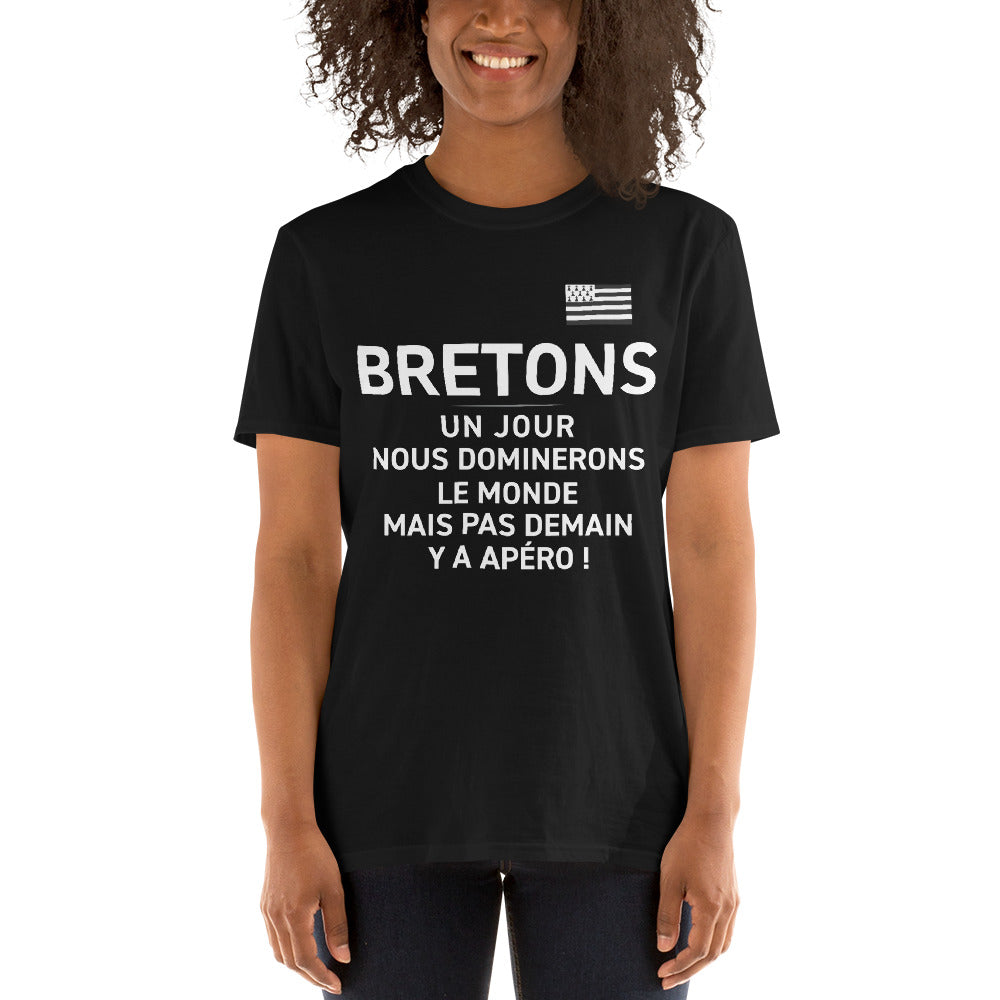 T-shirt Bretagne bleu marine dos - Nous dominerons le monde