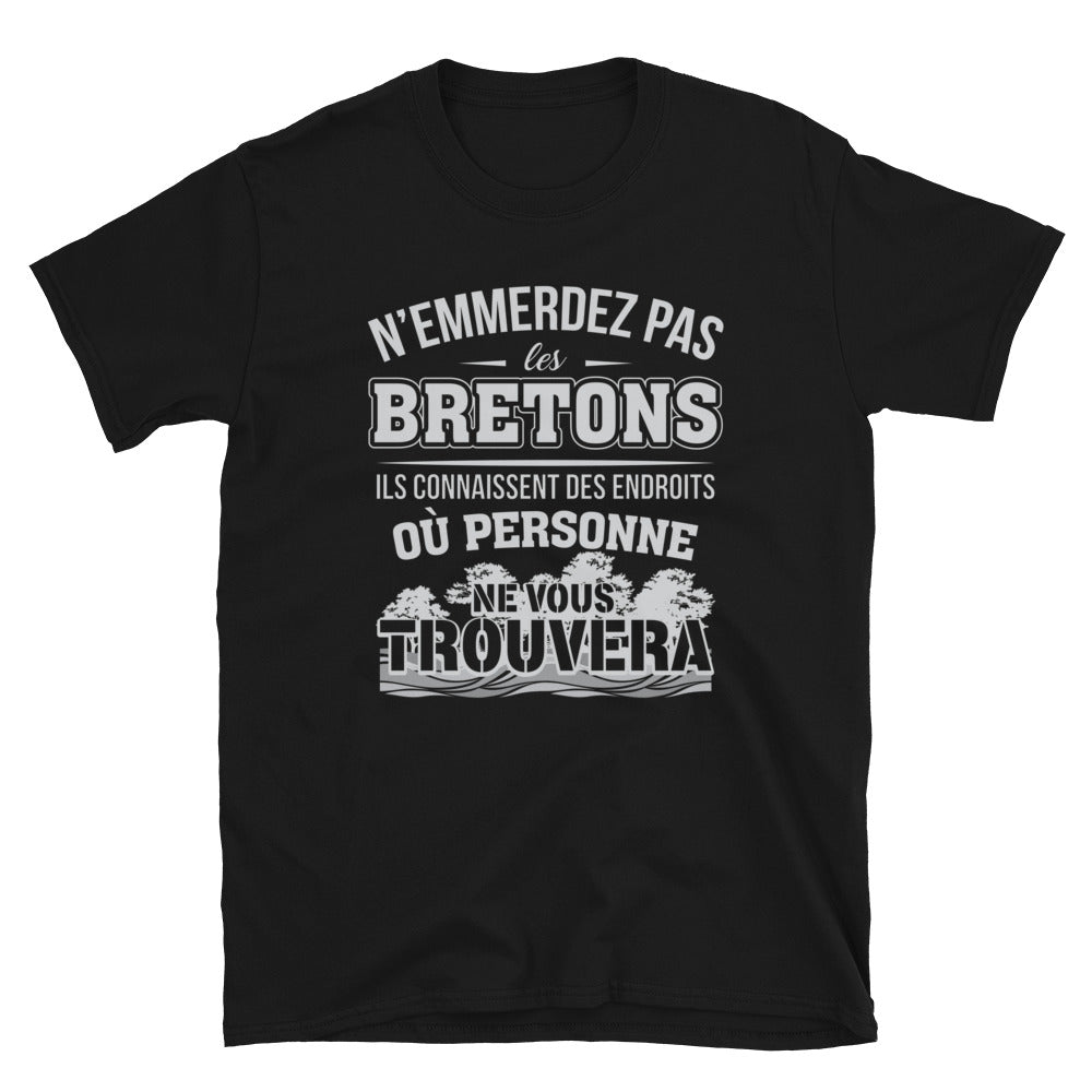 T-shirt Bretagne gris foncé chiné dos - Ne les emmerdez pas