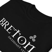 Thumbnail for T-shirt Bretagne gris foncé chiné dos - Fierté Celte avec humour local