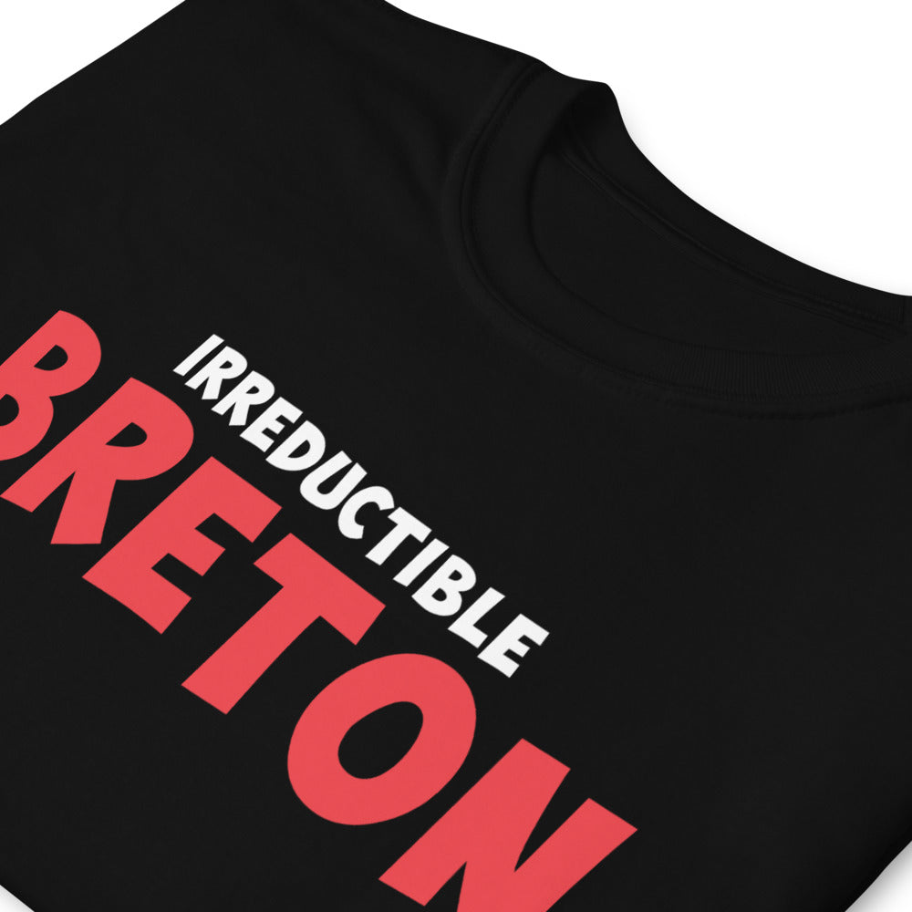T-shirt Bretagne gris foncé chiné dos - Irréductible Asterix