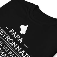 Thumbnail for T-shirt Aveyron bleu marine dos - Papa Aveyronnais, fier et cool