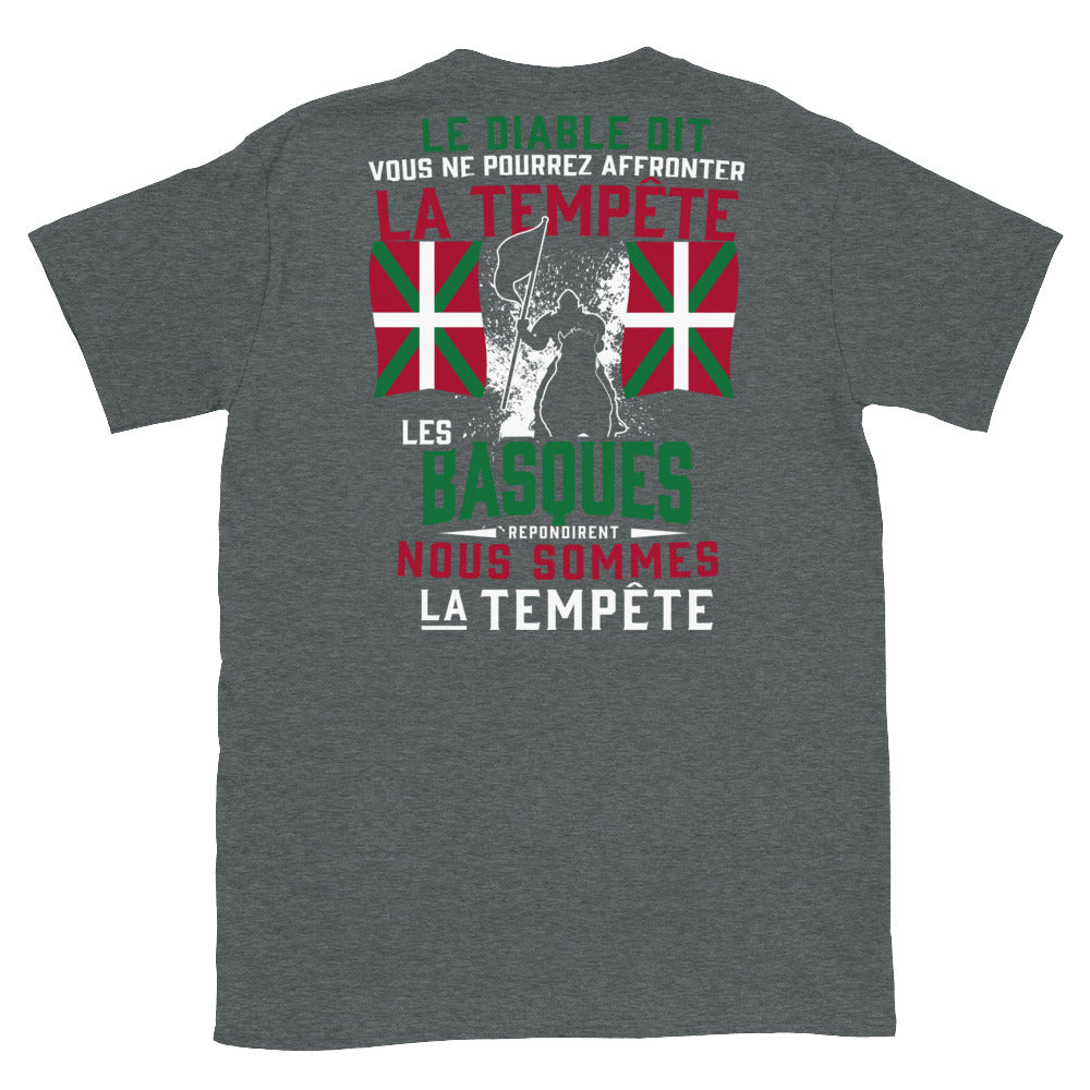 T-shirt Basques gris foncé chiné dos - Les Basques répondirent nous sommes la tempête