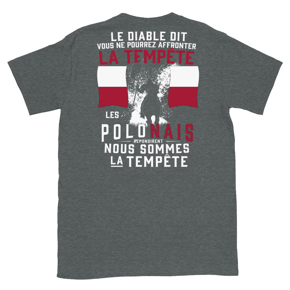 T-shirt Pologne bleu marine dos - Les Polonais répondirent : tempête