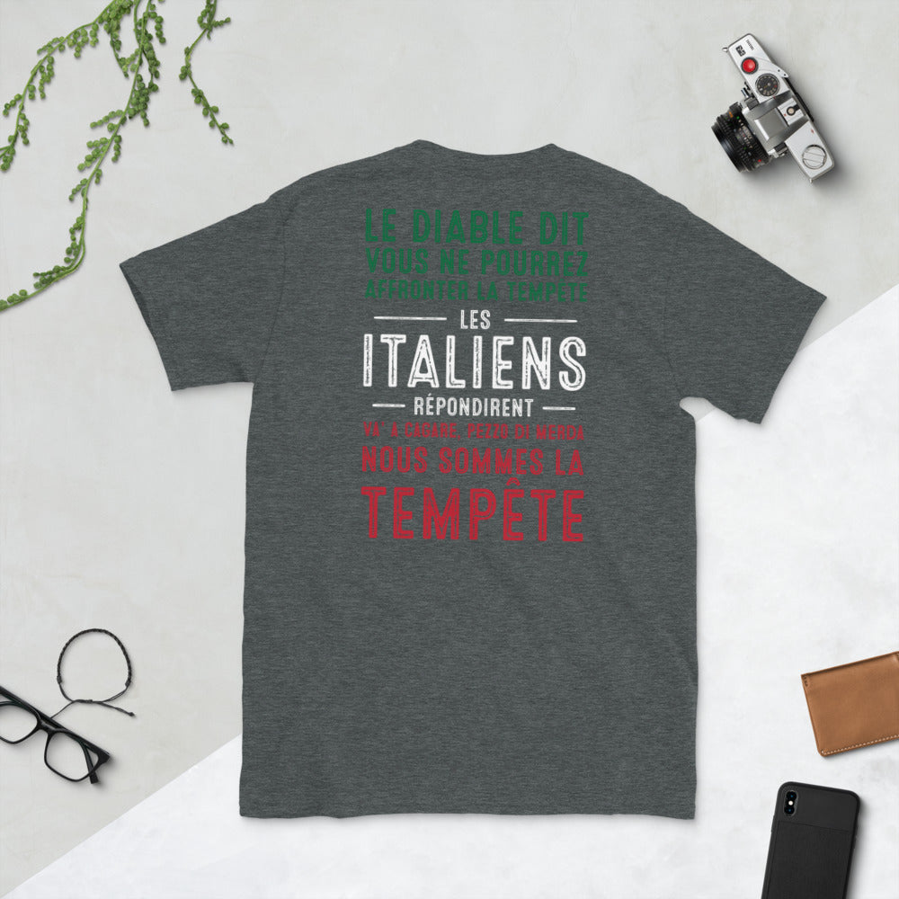 T-shirt Italie bleu marine dos - Le Diable et la tempête humoristique