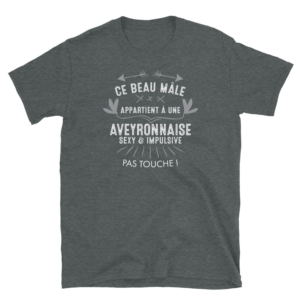 Ce beau mâle appartient à une Aveyronnais - T-shirt standard - Ici & Là - T-shirts & Souvenirs de chez toi