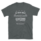 Ce beau mâle appartient à une Alsacienne - T-shirt standard - Ici & Là - T-shirts & Souvenirs de chez toi