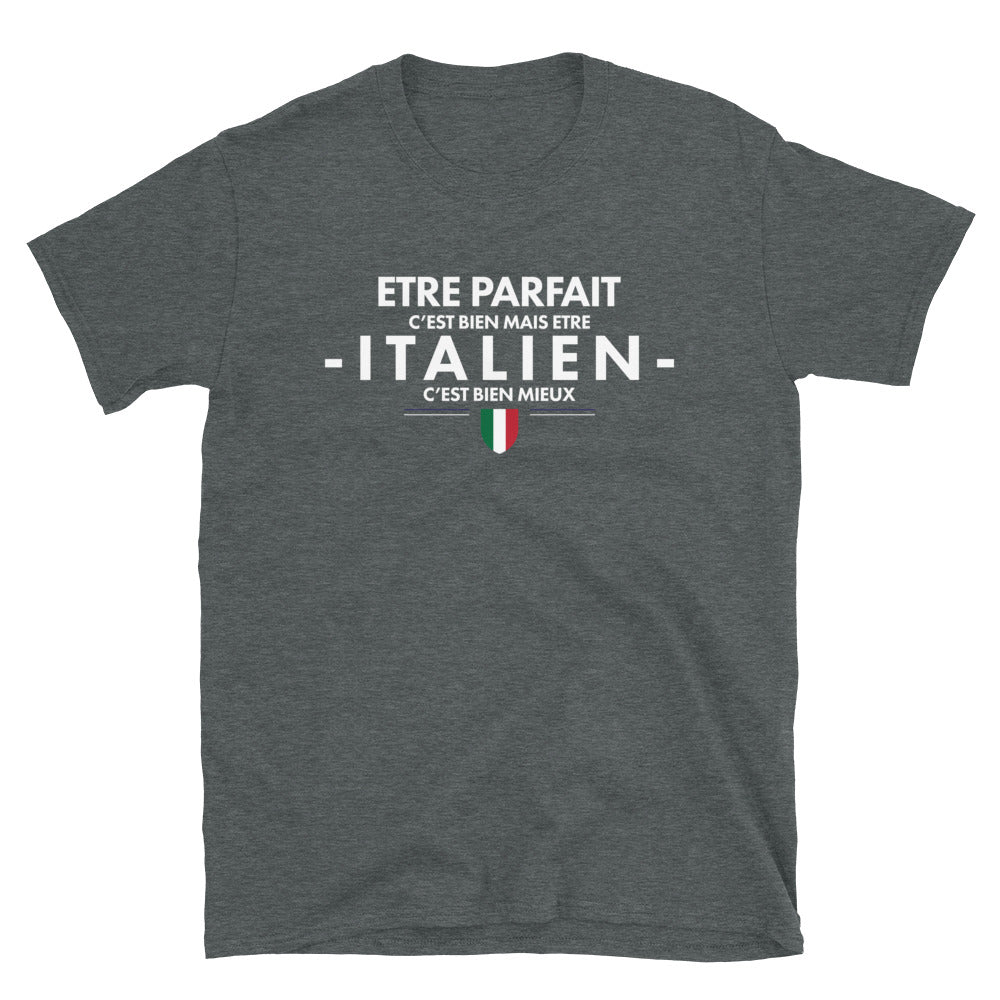T-shirt Italie bleu marine dos - Être parfait c'est bien être Italien c'est mieux