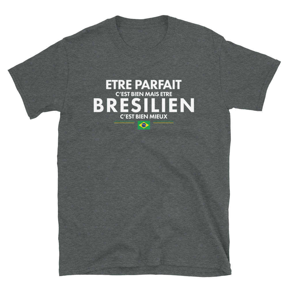 T-shirt Brésil gris foncé chiné dos - Être Parfait c'est bien être Brésilien c'est mieux
