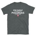 être Parfait c'est bien être Polonais c'est mieux - T-shirt standard - Ici & Là - T-shirts & Souvenirs de chez toi