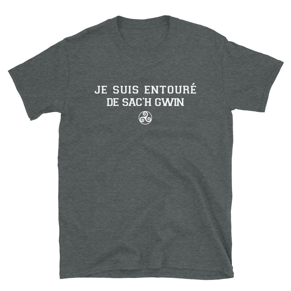 T-shirt Bretagne gris foncé chiné dos - Je suis entouré de Sa'ch Gwin