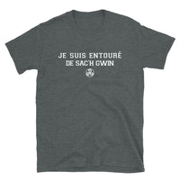 Thumbnail for T-shirt Bretagne gris foncé chiné dos - Je suis entouré de Sa'ch Gwin