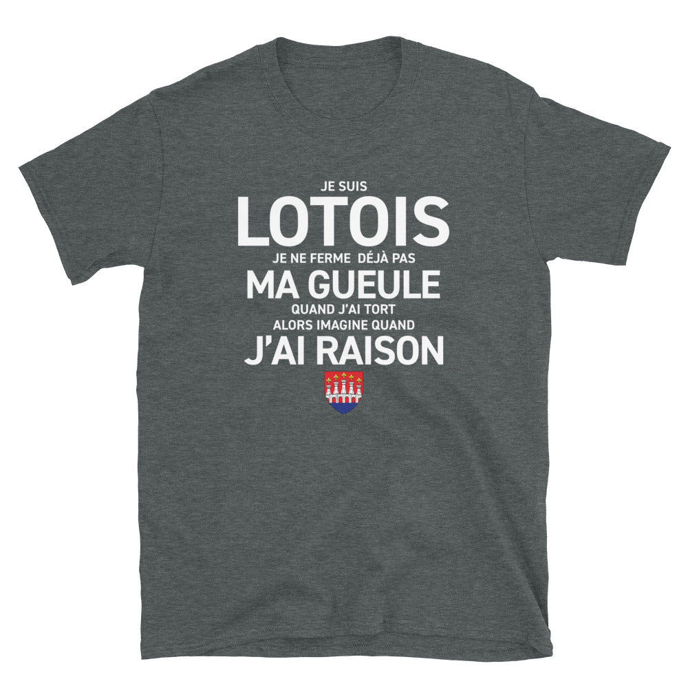 T-shirt Lotois bleu marine dos - Je ne ferme pas ma gueule