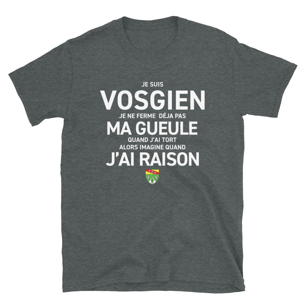 T-shirt Vosgien gris foncé chiné - Je ne ferme pas ma gueule