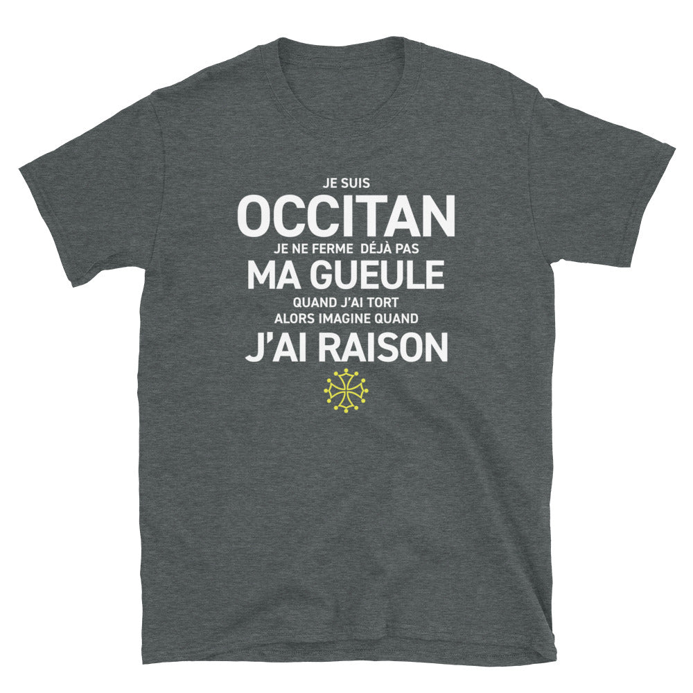 T-shirt Occitan bleu marine dos - Je ne ferme pas ma gueule