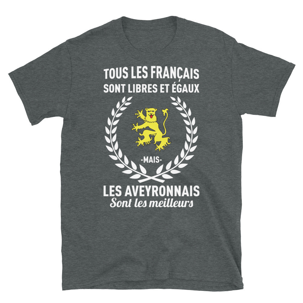 T-shirt Aveyron bleu marine dos - Libres et égaux avec fierté