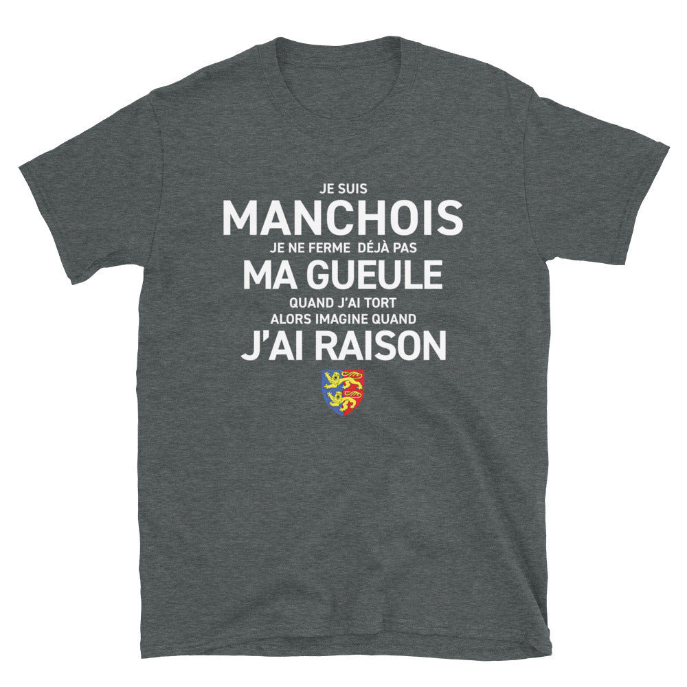 T-shirt Normandie noir dos - Fierté manchoise humoristique