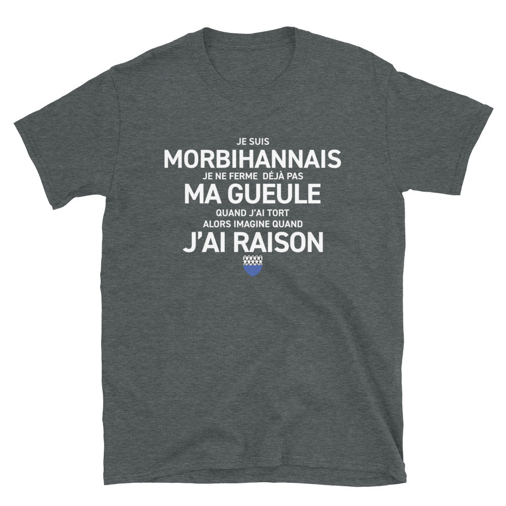 T-shirt Bretagne noir dos - Morbihannais avec humour
