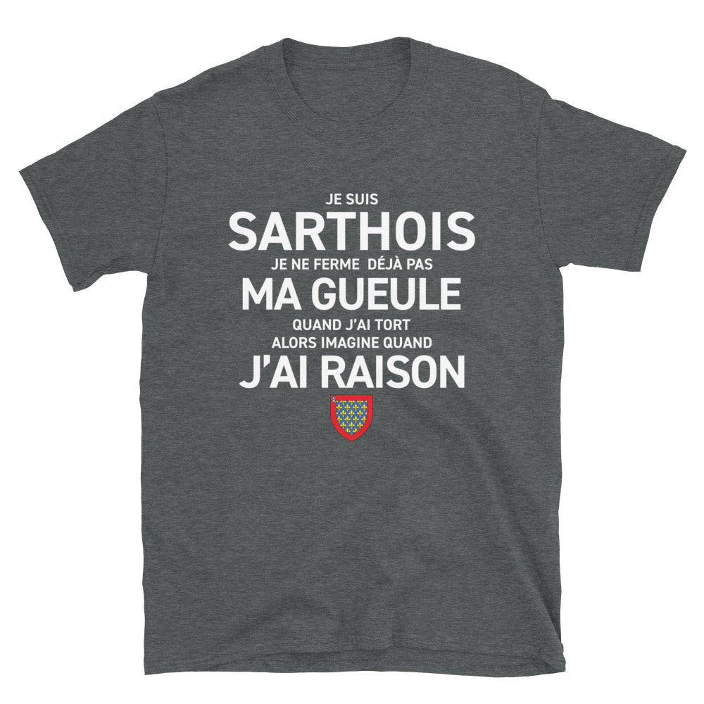 T-shirt Sarthois noir dos - design humoristique