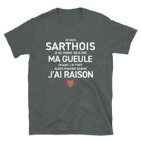 Thumbnail for T-shirt Sarthois noir dos - design humoristique
