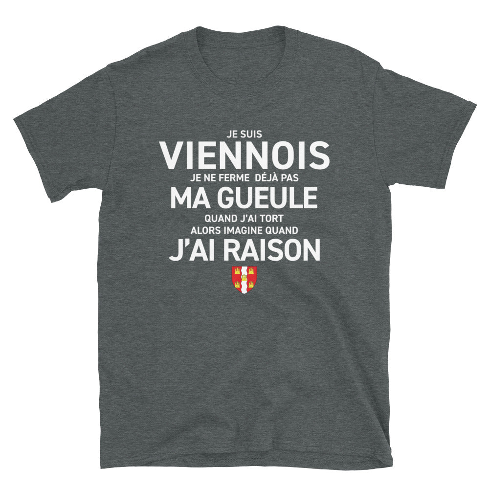 Viennois gueule Poitou - T-shirt standard - Ici & Là - T-shirts & Souvenirs de chez toi