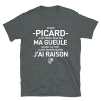 Thumbnail for T-shirt Picard gris foncé chiné - Je suis Picard je ne ferme pas ma gueule